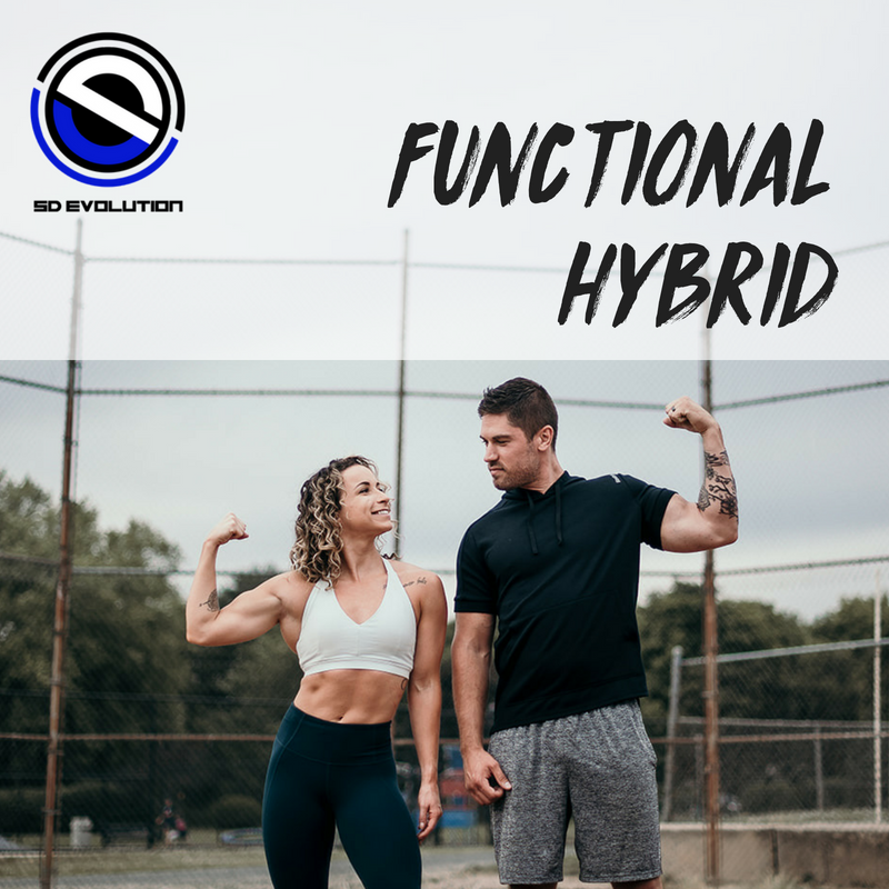 Template_ Functional Hybrid
